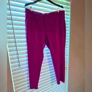 Fuchsia Dress Pants